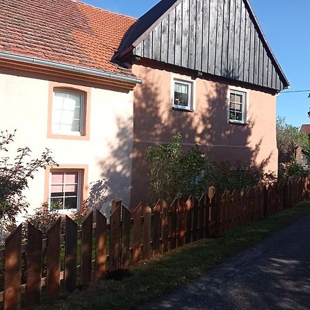 Roze I Jablonie Agroturystyka Gryfów Śląski Exterior foto