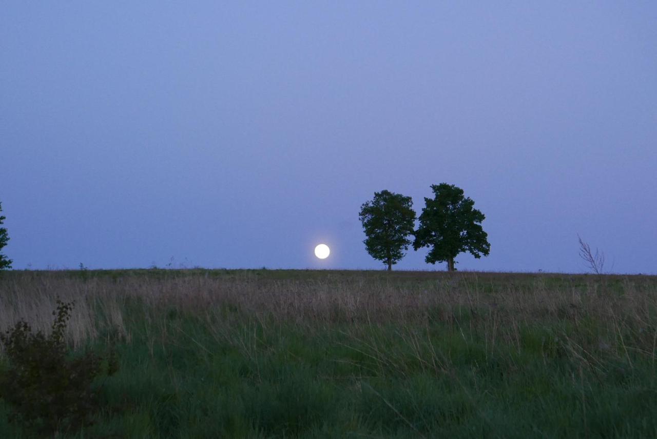Roze I Jablonie Agroturystyka Gryfów Śląski Exterior foto