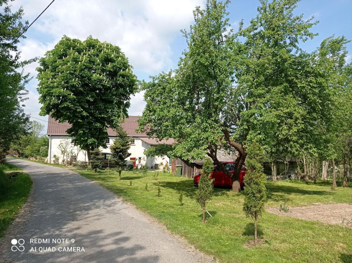 Roze I Jablonie Agroturystyka Gryfów Śląski Exterior foto