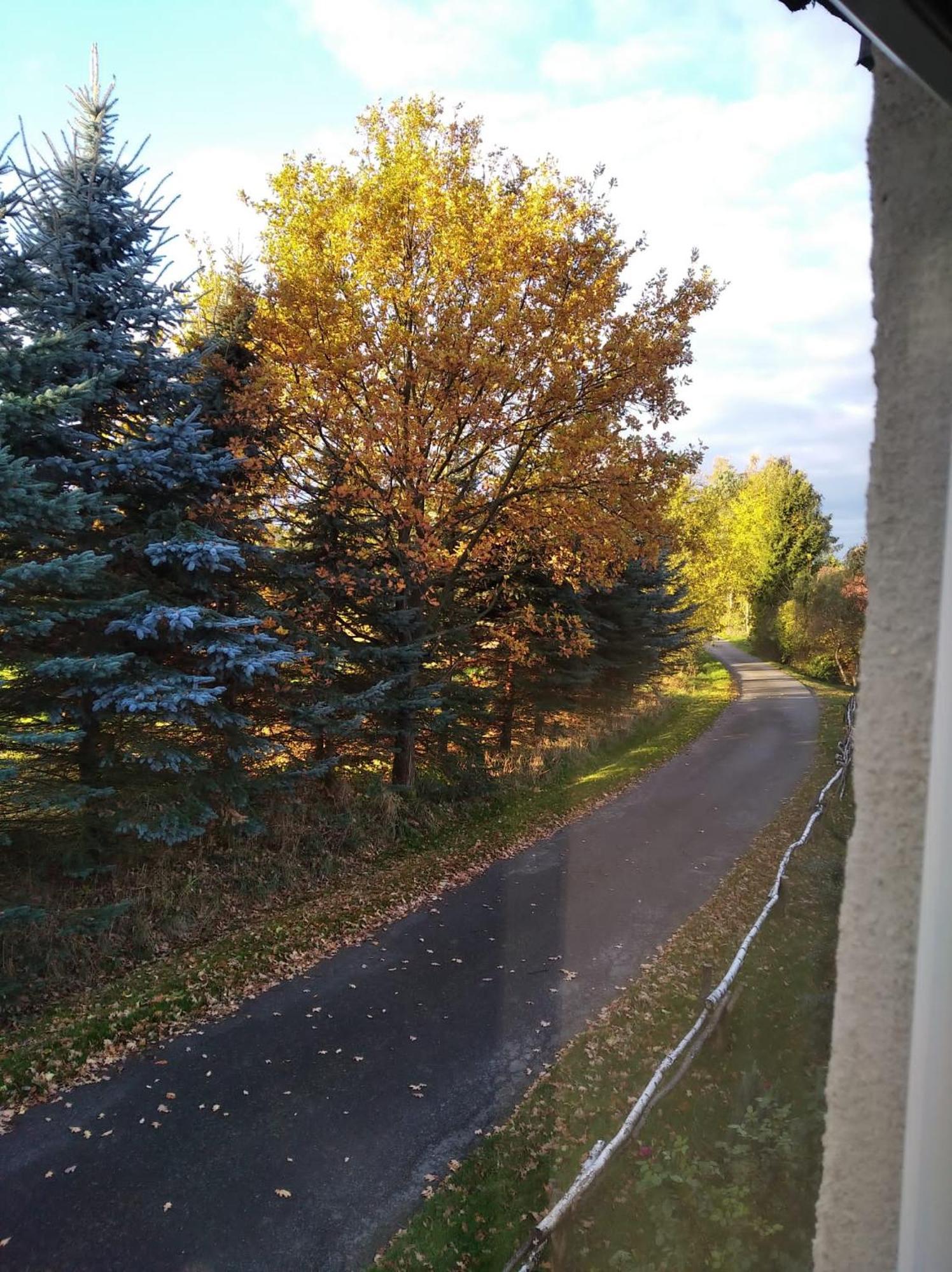 Roze I Jablonie Agroturystyka Gryfów Śląski Exterior foto