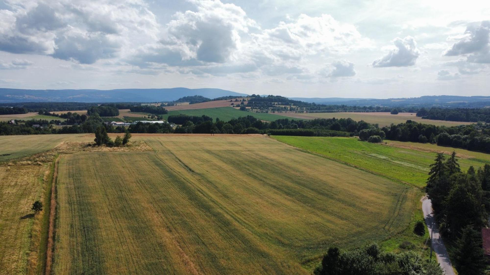 Roze I Jablonie Agroturystyka Gryfów Śląski Exterior foto