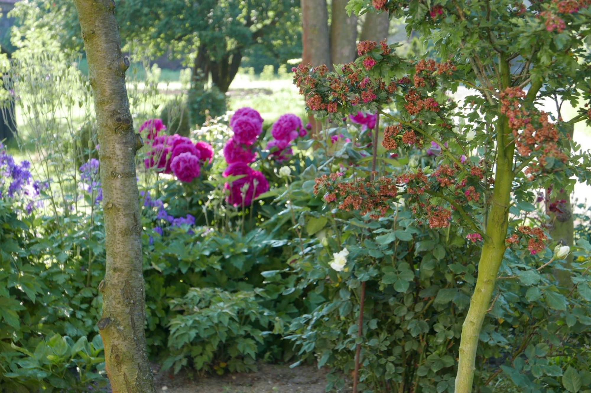 Roze I Jablonie Agroturystyka Gryfów Śląski Exterior foto