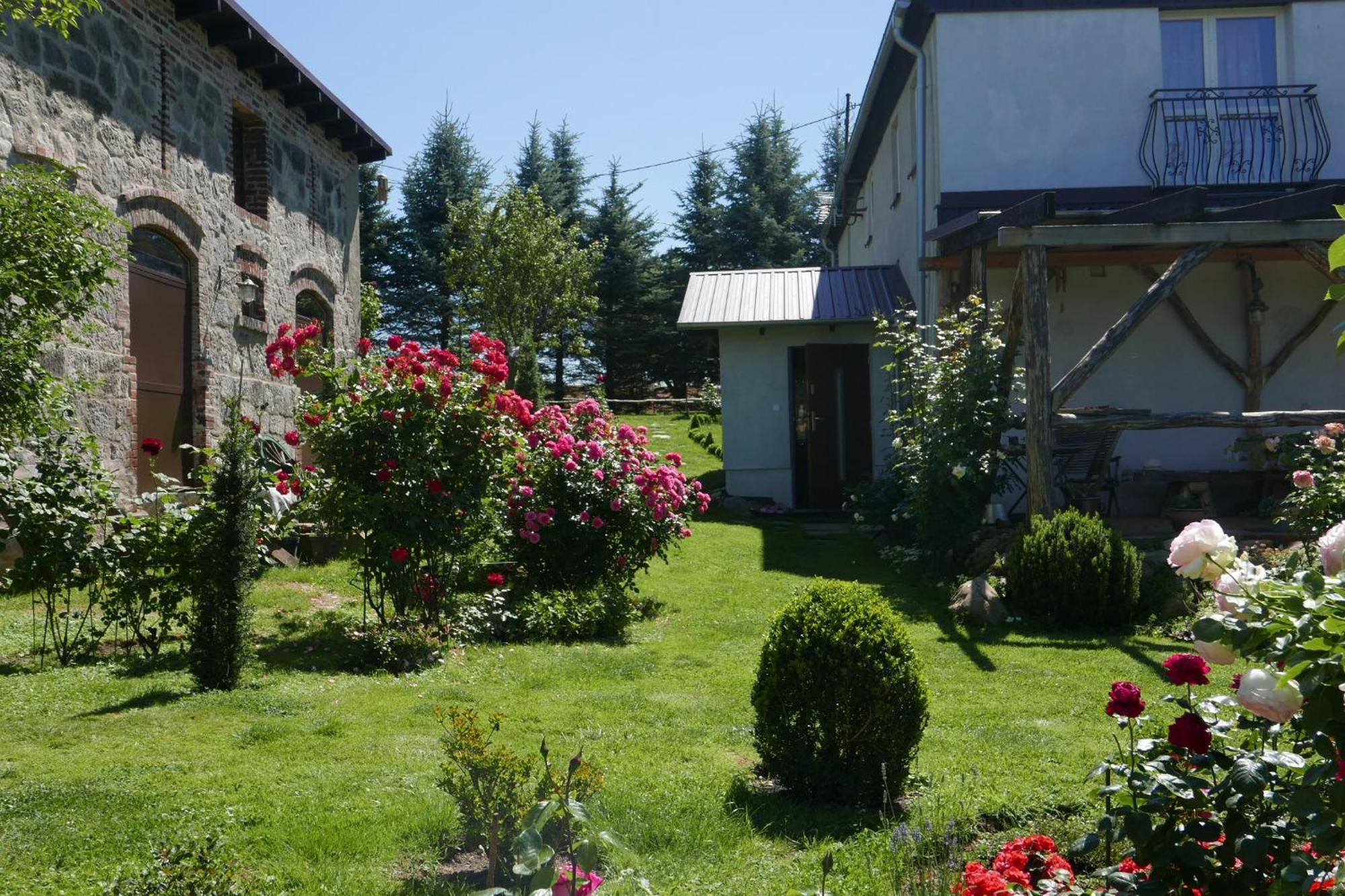 Roze I Jablonie Agroturystyka Gryfów Śląski Exterior foto