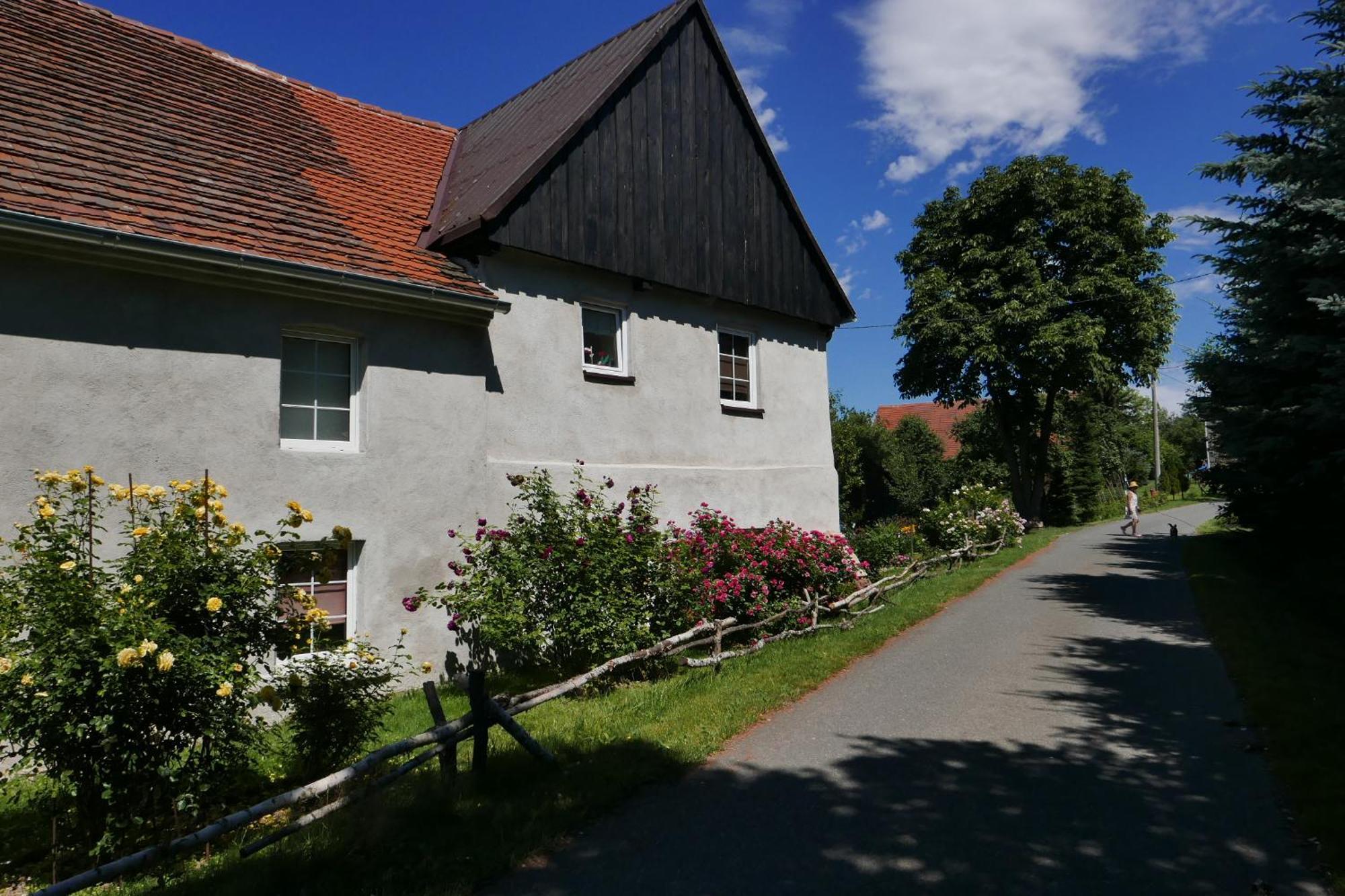 Roze I Jablonie Agroturystyka Gryfów Śląski Exterior foto