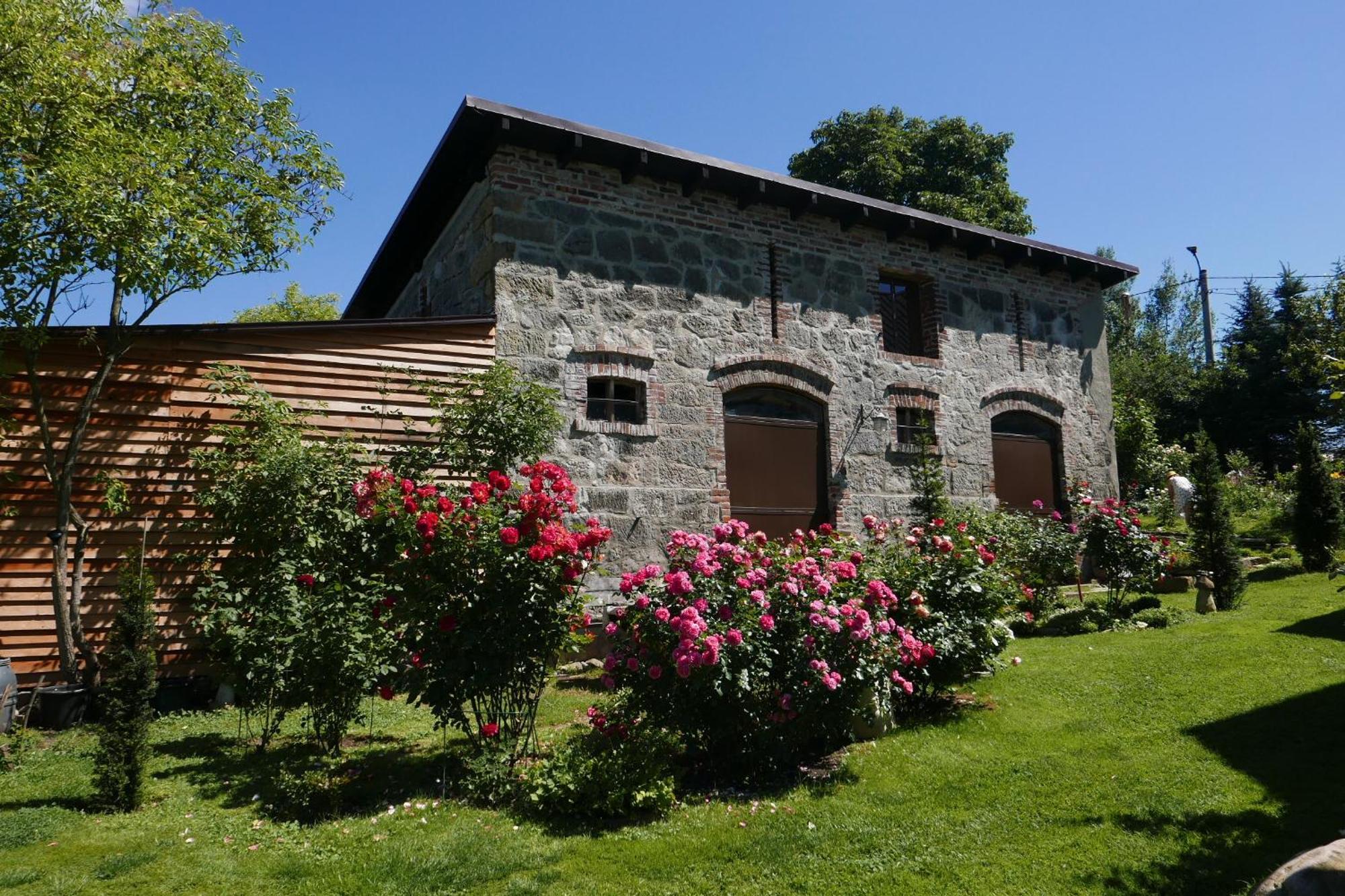 Roze I Jablonie Agroturystyka Gryfów Śląski Exterior foto