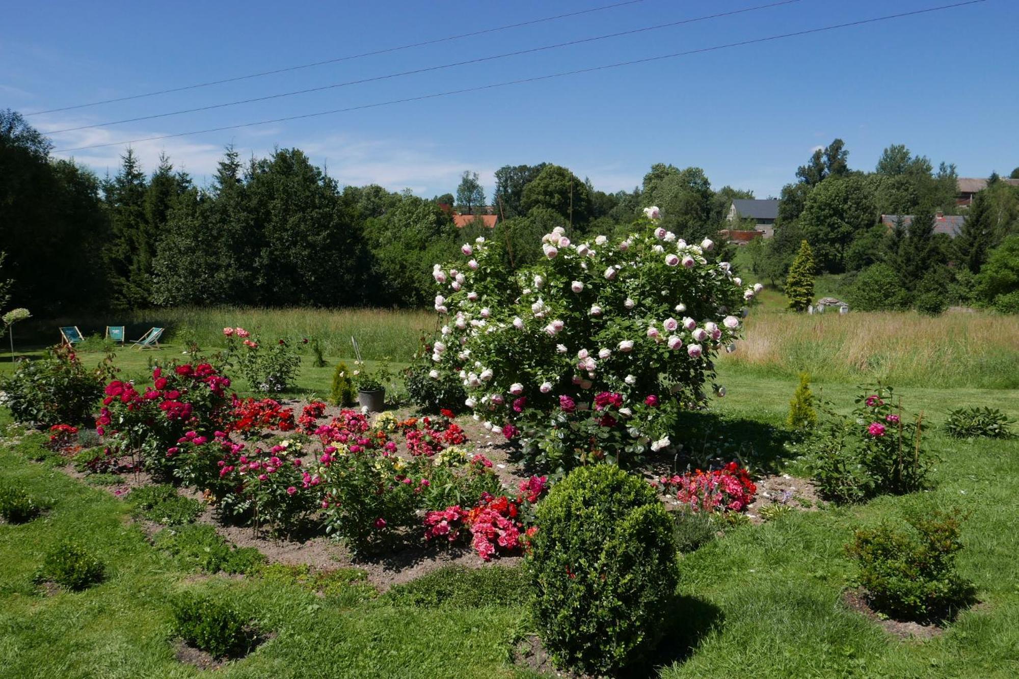 Roze I Jablonie Agroturystyka Gryfów Śląski Exterior foto