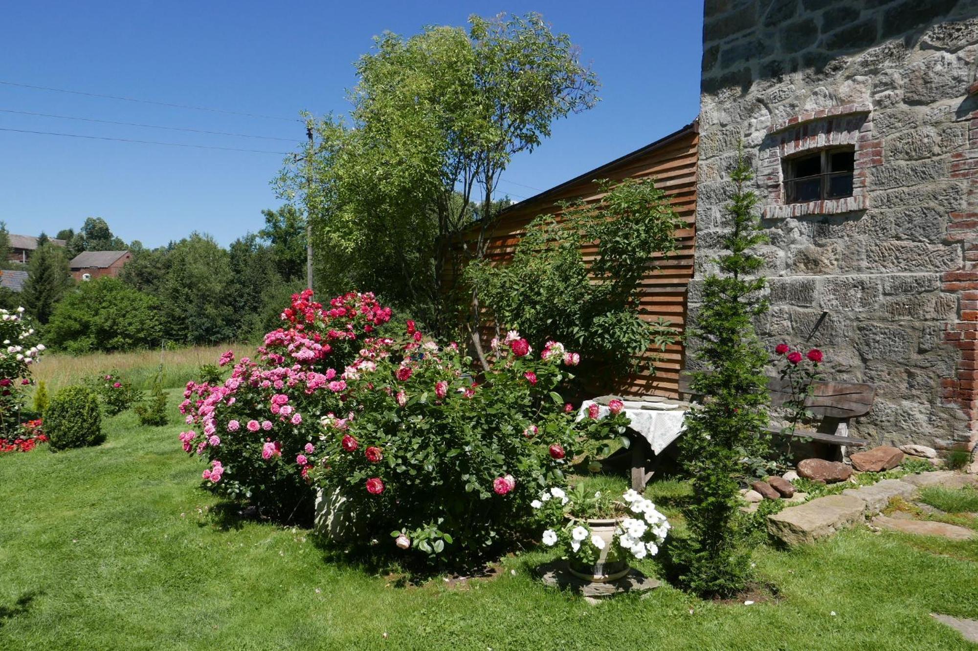 Roze I Jablonie Agroturystyka Gryfów Śląski Exterior foto