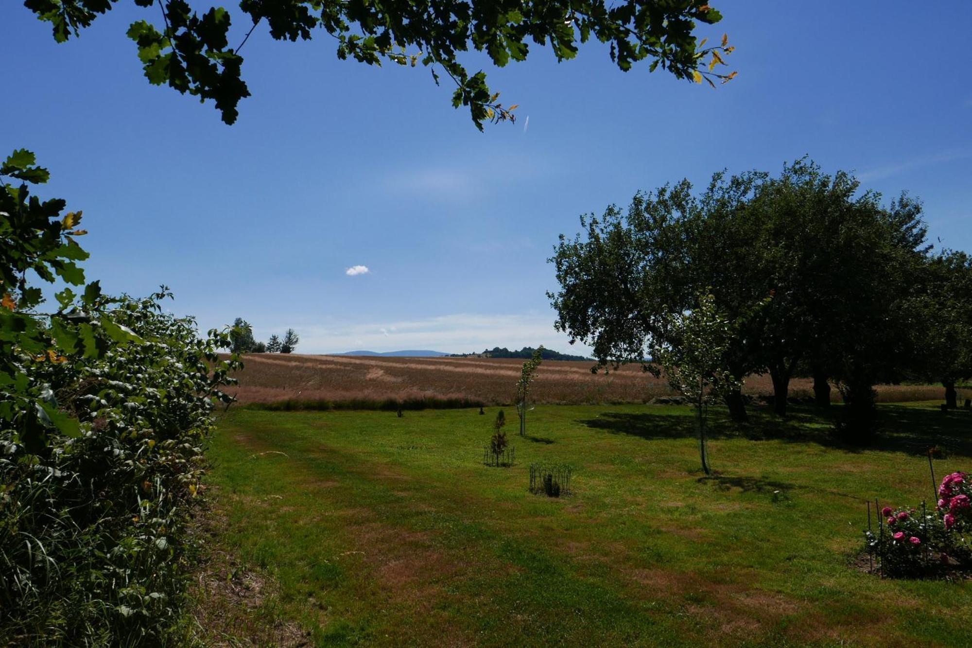 Roze I Jablonie Agroturystyka Gryfów Śląski Exterior foto